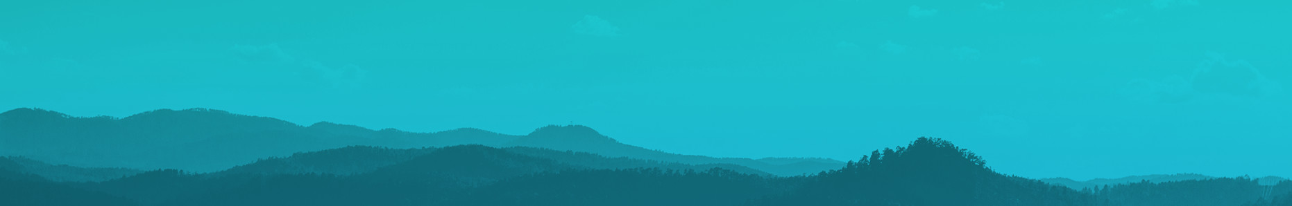 banner 1