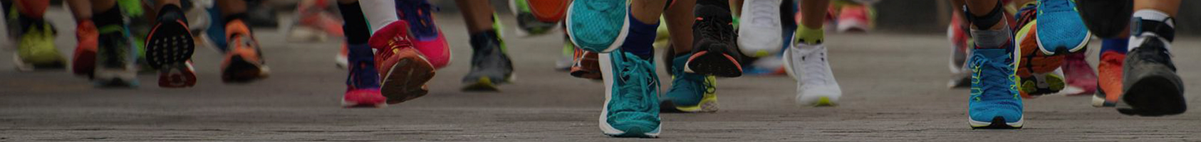 banner 1