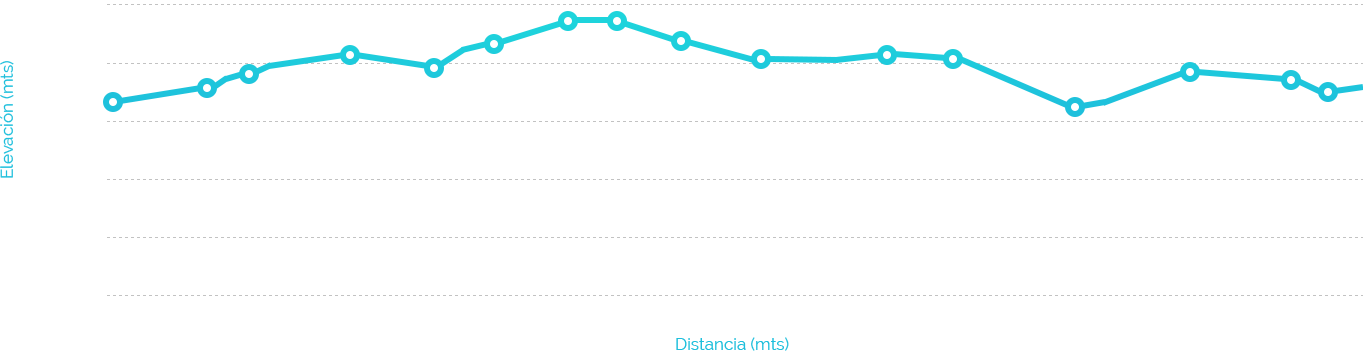 Altimetría del Lugar