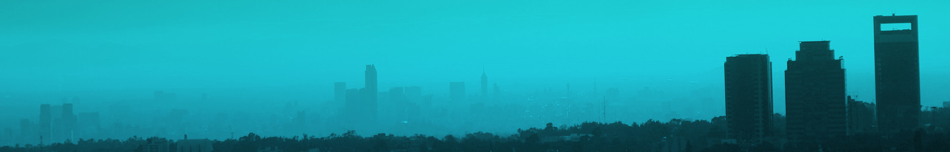 banner 1